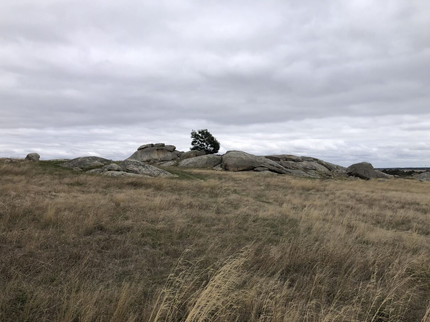 The Dog Rocks granite outcrop, a Batesford landmark.