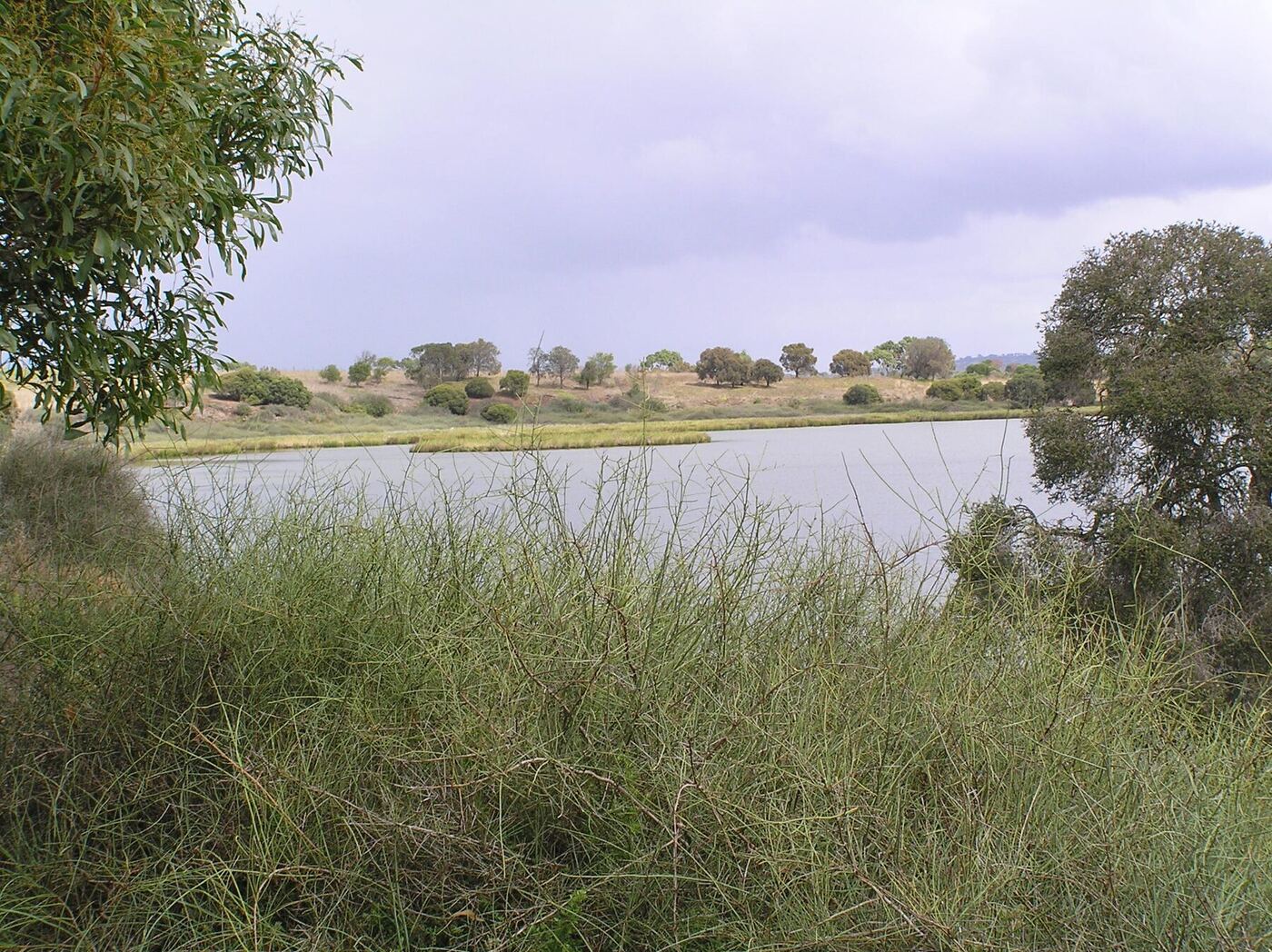 Lake Connewarre from Tait Point