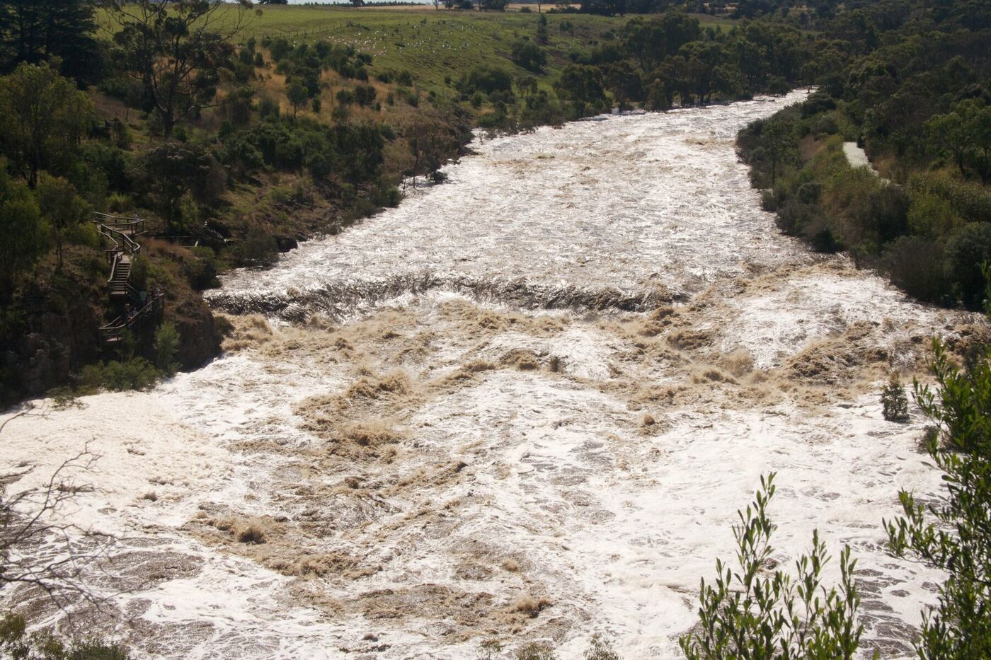 Buckley's Falls from Highton